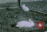 Image of children at Berghof Berchtesgaden Germany, 1940, second 61 stock footage video 65675047989