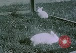 Image of children at Berghof Berchtesgaden Germany, 1940, second 62 stock footage video 65675047989