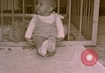 Standbild Kind bei Berghof Berchtesgaden Deutschland, 1940, aus Sekunde 6 historischem Filmmaterial Videoclip 65675047991