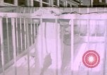 Standbild Nazi Officer Berchtesgaden Deutschland, 1940, aus Sekunde 1 historischem Filmmaterial Videoclip 65675047994