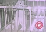 Standbild Nazi Officer Berchtesgaden Deutschland, 1940, aus Sekunde 3 historischem Filmmaterial Videoclip 65675047994