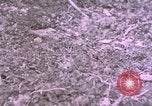 Standbild bergigen Gelände Deutschland, 1940, aus Sekunde 17 historischem Filmmaterial Videoclip 65675047997