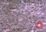 Standbild bergigen Gelände Deutschland, 1940, aus Sekunde 18 historischem Filmmaterial Videoclip 65675047997