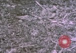Standbild bergigen Gelände Deutschland, 1940, aus Sekunde 19 historischem Filmmaterial Videoclip 65675047997