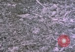 Standbild bergigen Gelände Deutschland, 1940, aus Sekunde 20 historischem Filmmaterial Videoclip 65675047997