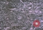 Standbild bergigen Gelände Deutschland, 1940, aus Sekunde 21 historischem Filmmaterial Videoclip 65675047997