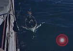 Immagine di Eva Braun Germania, 1940, secondo 55 filmato di repertorio 65675048012