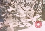 Image of Eva Braun in Norway Norway, 1939, second 1 stock footage video 65675048018