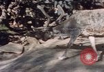Image of Eva Braun in Norway Norway, 1939, second 7 stock footage video 65675048018