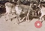 Image of Eva Braun in Norway Norway, 1939, second 14 stock footage video 65675048018