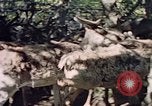 Image of Eva Braun in Norway Norway, 1939, second 16 stock footage video 65675048018
