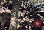 Image of Eva Braun in Norway Norway, 1939, second 18 stock footage video 65675048018