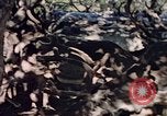 Image of Eva Braun in Norway Norway, 1939, second 19 stock footage video 65675048018