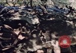 Image of Eva Braun in Norway Norway, 1939, second 20 stock footage video 65675048018
