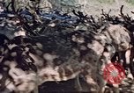Image of Eva Braun in Norway Norway, 1939, second 21 stock footage video 65675048018