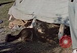 Image of Eva Braun in Norway Norway, 1939, second 49 stock footage video 65675048018