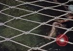 Image of Eva Braun in Norway Norway, 1939, second 13 stock footage video 65675048022