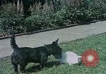 Immagine di Eva Braun home movie Germania, 1940, secondo 45 filmato di repertorio 65675048038