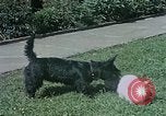 Immagine di Eva Braun home movie Germania, 1940, secondo 46 filmato di repertorio 65675048038