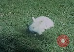 Immagine di Eva Braun home movie Germania, 1940, secondo 57 filmato di repertorio 65675048038