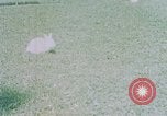 Immagine di Eva Braun home movie Germania, 1940, secondo 58 filmato di repertorio 65675048038