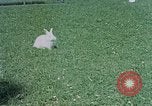 Immagine di Eva Braun home movie Germania, 1940, secondo 59 filmato di repertorio 65675048038