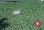 Immagine di Eva Braun home movie Germania, 1940, secondo 60 filmato di repertorio 65675048038