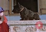Standbild Eva Braun home Film Deutschland, 1940, aus Sekunde 47 historischem Filmmaterial Videoclip 65675048042