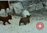Standbild Eva Braun home Film Deutschland, 1940, aus Sekunde 1 historischem Filmmaterial Videoclip 65675048046