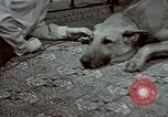 Image of Eva Braun Germany, 1940, second 37 stock footage video 65675048056