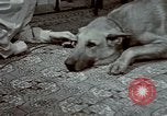 Image of Eva Braun Germany, 1940, second 38 stock footage video 65675048056