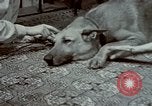 Image of Eva Braun Germany, 1940, second 39 stock footage video 65675048056