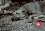 Image of Eva Braun Germany, 1940, second 40 stock footage video 65675048056