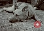 Image of Eva Braun Germany, 1940, second 49 stock footage video 65675048056