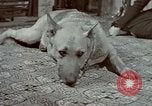 Image of Eva Braun Germany, 1940, second 50 stock footage video 65675048056