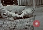 Image of Eva Braun Germany, 1940, second 52 stock footage video 65675048056