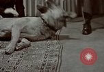 Image of Eva Braun Germany, 1940, second 57 stock footage video 65675048056