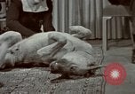 Image of Eva Braun Germany, 1940, second 59 stock footage video 65675048056