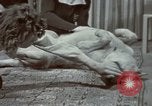 Image of Eva Braun Germany, 1940, second 61 stock footage video 65675048056