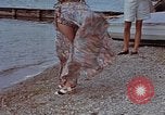 Image of Eva Braun Germany, 1940, second 26 stock footage video 65675048059
