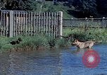Image of Eva Braun Germany, 1940, second 14 stock footage video 65675048060