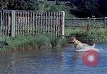 Image of Eva Braun Germany, 1940, second 15 stock footage video 65675048060