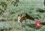 Image of Eva Braun Germany, 1940, second 31 stock footage video 65675048060
