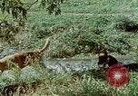 Image of Eva Braun Germany, 1940, second 33 stock footage video 65675048060