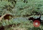 Image of Eva Braun Germany, 1940, second 34 stock footage video 65675048060