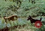 Image of Eva Braun Germany, 1940, second 36 stock footage video 65675048060