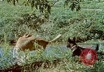 Image of Eva Braun Germany, 1940, second 37 stock footage video 65675048060
