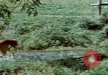 Image of Eva Braun Germany, 1940, second 38 stock footage video 65675048060