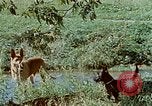 Image of Eva Braun Germany, 1940, second 44 stock footage video 65675048060