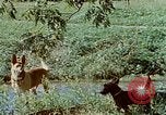 Image of Eva Braun Germany, 1940, second 45 stock footage video 65675048060